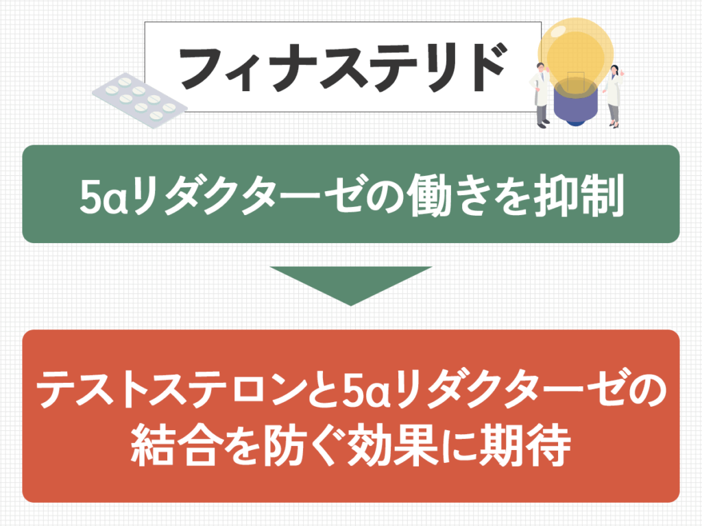 フィナステリドで期待できる効果